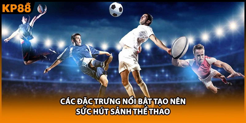 Các đặc trưng nổi bật tạo nên sức hút sảnh thể thao