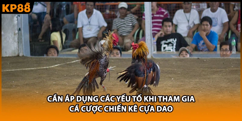 Cần áp dụng các yếu tố khi tham gia cá cược chiến kê cựa dao
