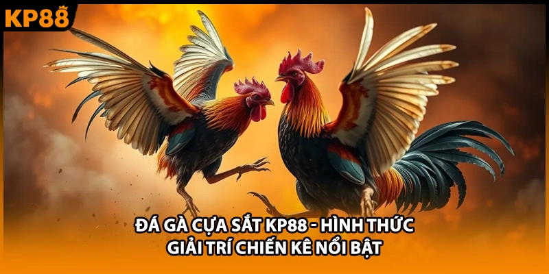 Đá Gà Cựa Sắt KP88 - Hình Thức Giải Trí Chiến Kê Nổi Bật