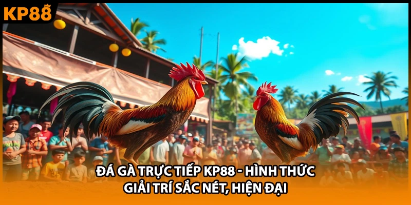 Đá Gà Trực Tiếp KP88 - Hình Thức Giải Trí Sắc Nét, Hiện Đại