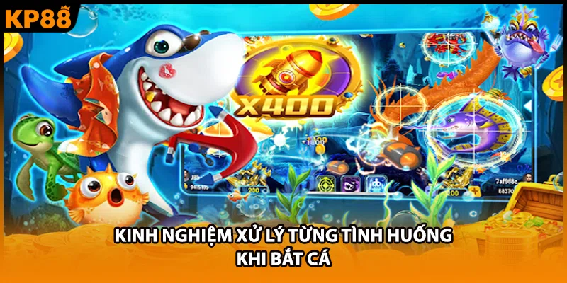 Kinh nghiệm xử lý từng tình huống khi bắt cá