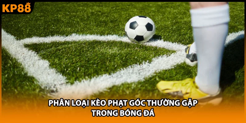 Phân loại kèo phạt góc thường gặp trong bóng đá