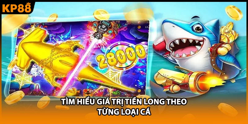 Tìm hiểu giá trị tiền long theo từng loại cá