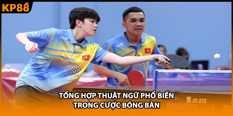 Tổng hợp thuật ngữ phổ biến trong cược bóng bàn
