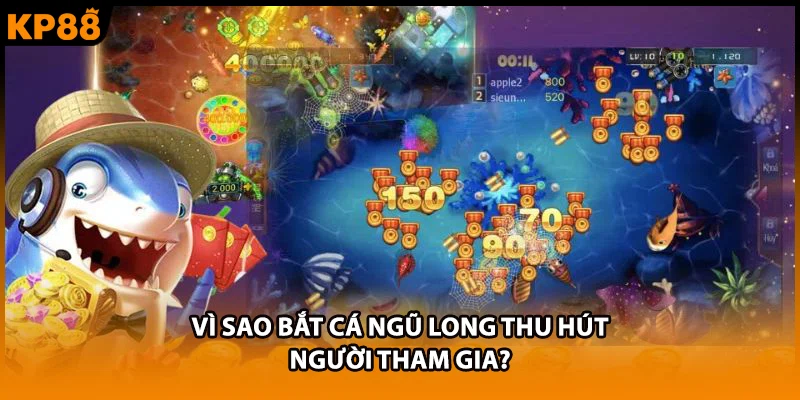 Vì sao bắt cá ngũ long thu hút người tham gia?